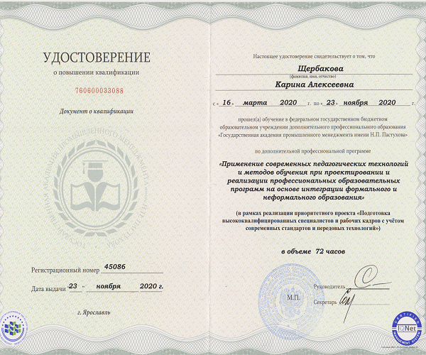 Программа "Применение современных педагогических технологий", 2020 г.