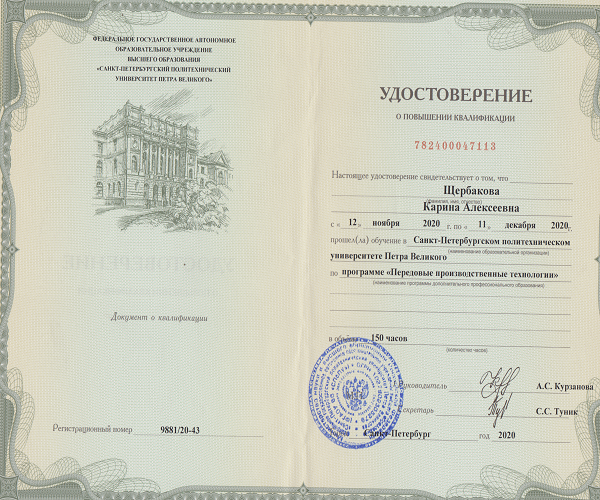 Программа "Передовые производственные технологии", 2020 г.