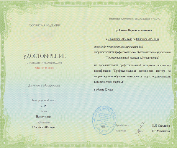 Программа "Профессиональная деятельность тьютора", 2022 г.