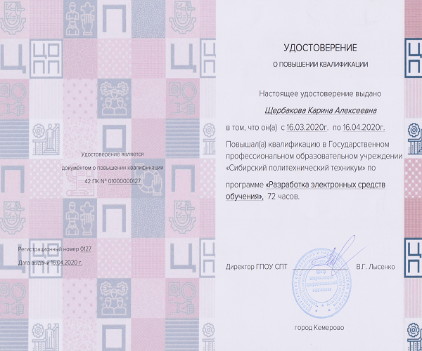 Программа "Разработка электронных средств обучения", 2020 г.