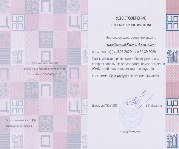 Программа "Data Analysts", 2020 г.