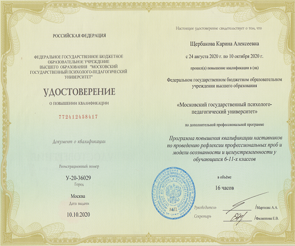 Программа "Рефлексия профессиональных проб у обучающихся", 2020 г.